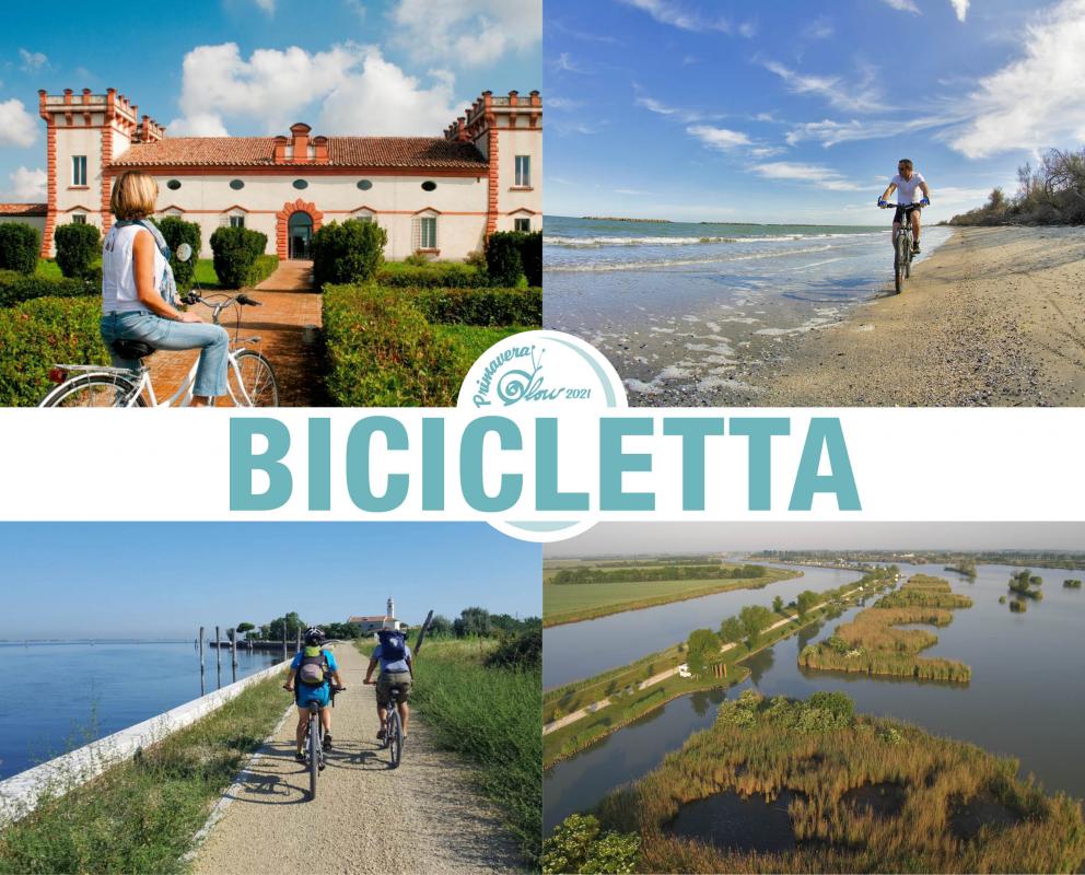 Banner bicicetta