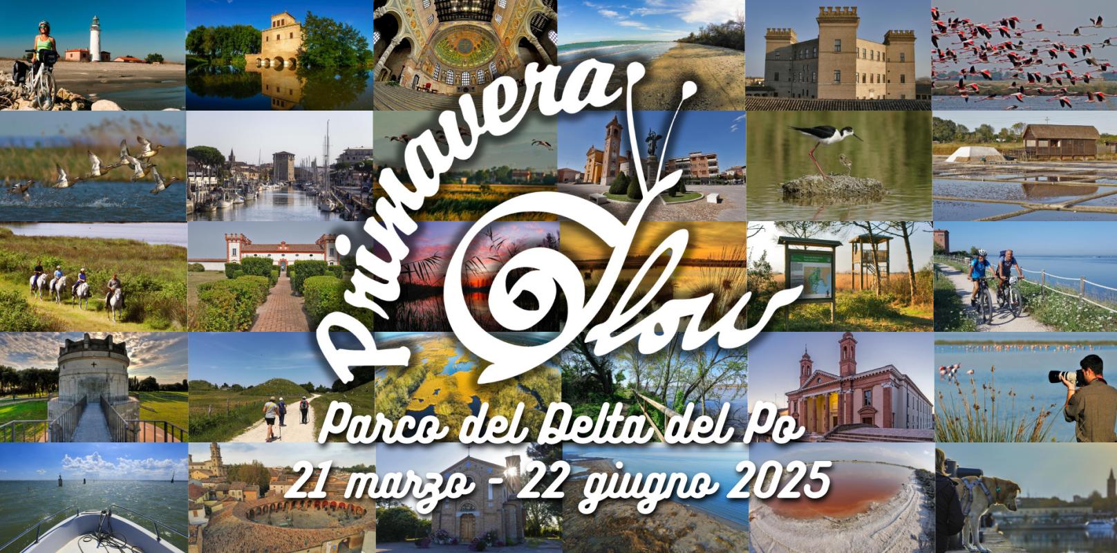 Banner Primavera Slow 2025