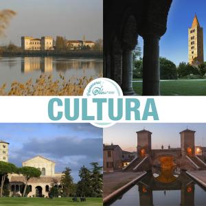 Banner cultura