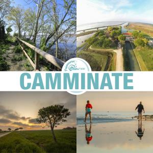 Banner camminate