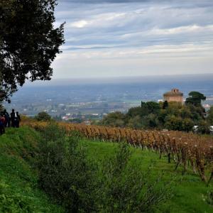 Faenza, veduta Oriolo