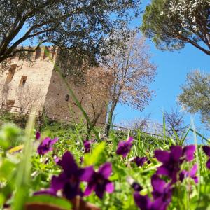 Terrazza Torre di Oriolo