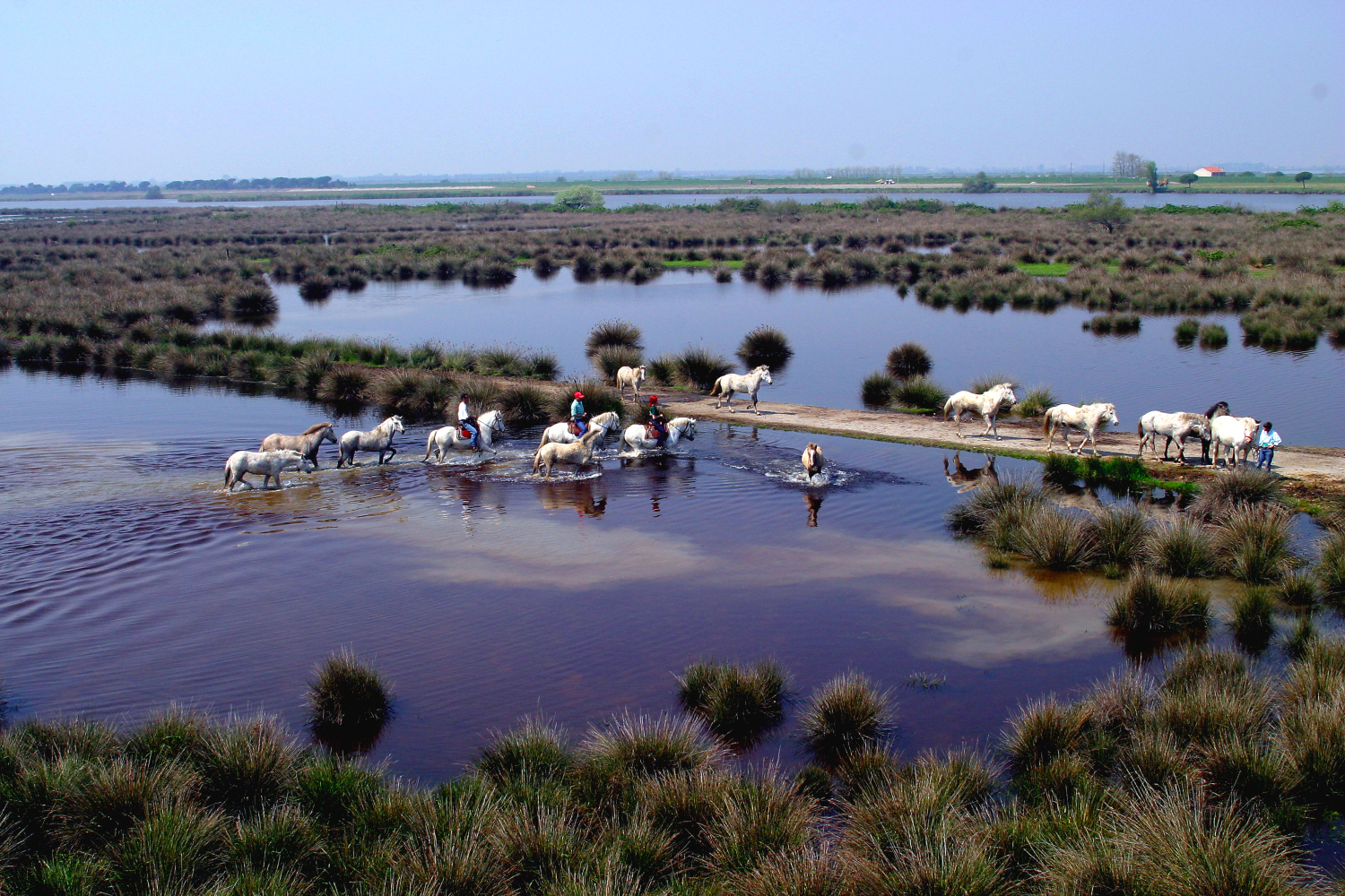 Cosa fare nel Delta | Delta del Po